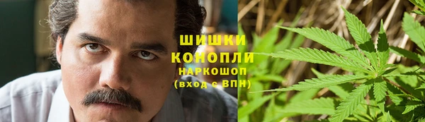 прущие грибы Верея