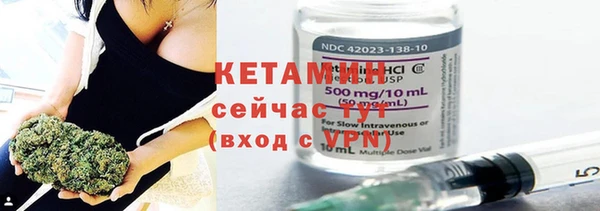 прущие грибы Верея