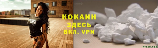 прущие грибы Верея
