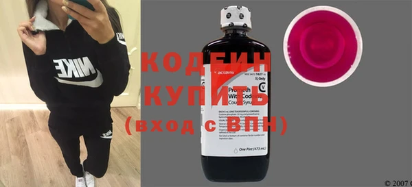 прущие грибы Верея