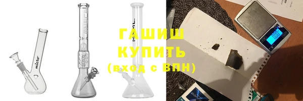 прущие грибы Верея