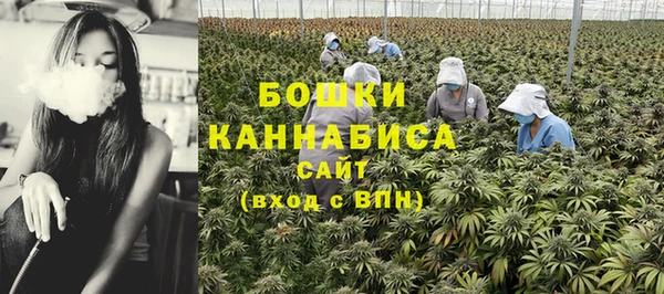 прущие грибы Верея