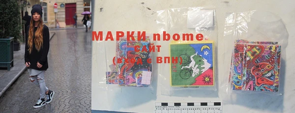 прущие грибы Верея