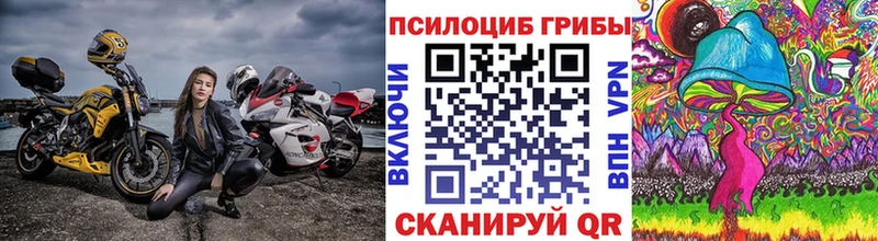 Галлюциногенные грибы Psilocybine cubensis  МЕГА ссылка  Кедровый 